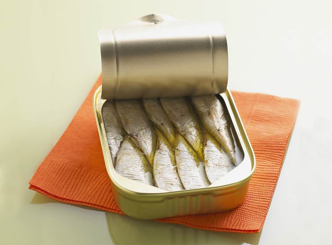 水产动物类罐头