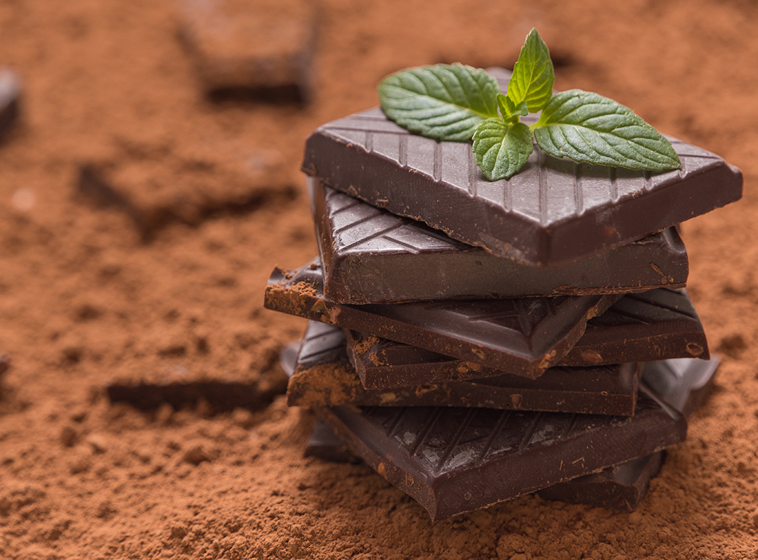 巧克力及巧克力制品